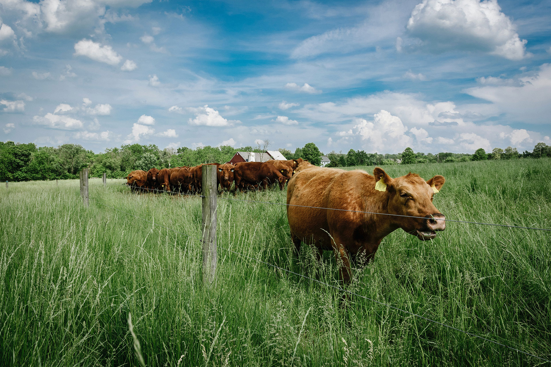 chris boese koCzRDSlzPE unsplash
